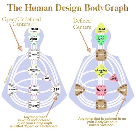 Human Design Calculator - Get Your Free Chart Report