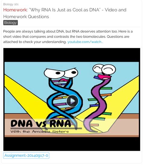 Amoeba Sisters Dna Replication Worksheet - Printable And Enjoyable Learning