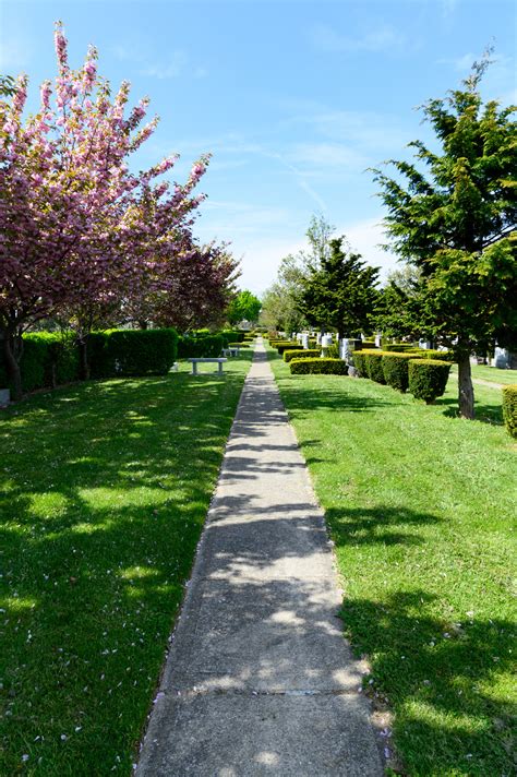 Photo Gallery | New Montefiore Cemetery