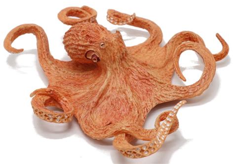 Image result for Octopus Metaheuristic Algorithm