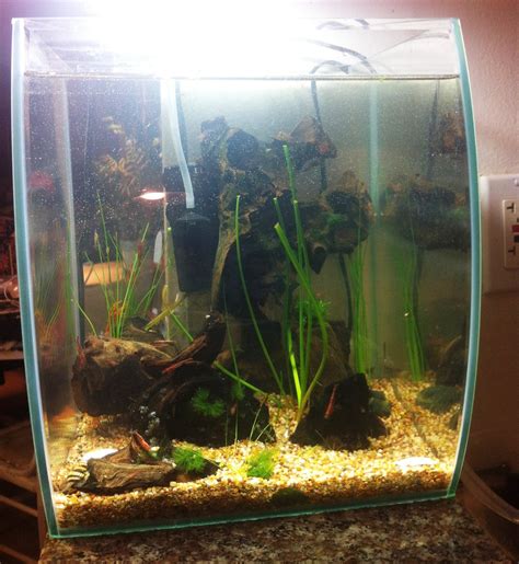 Mini Aquariums: Mr Aqua 5 Gallon
