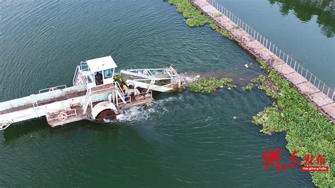 衡阳衡东：河道“美容师”用汗水守护碧波 - 县域要闻 - 新湖南