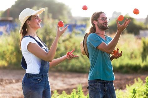 Reason Drawing 的图像结果