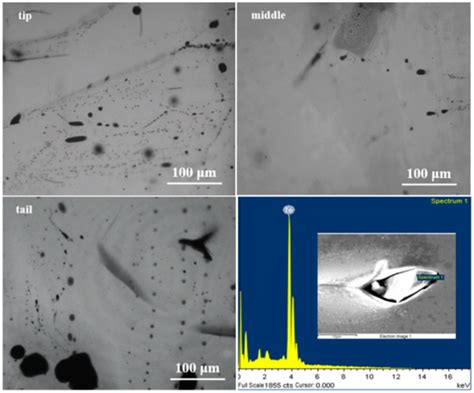 Study on In-Doped CdMgTe Crystals Grown by a Modified Vertical Bridgman ...