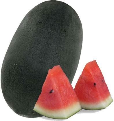 TRICONE Syngenta Dragon King, Hybrid F1 ( Ice Box ), Watermelon Seed ...