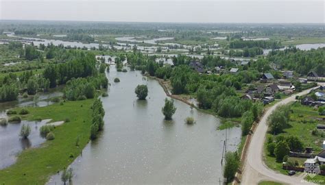 Уровень воды в Оби начнет расти после 27 мая из-за сильных осадков ...