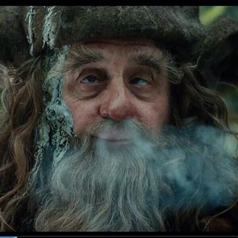 Radagast the Brown | The hobbit, Radagast the brown, Middle earth