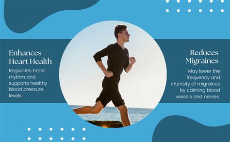 Biotrex Nutraceuticals Magnesium Glycinate | Highest Bioavailability ...