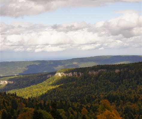 Download wallpaper Open, Forest, Forest, Adygea, Lago-Naki, Lago-Naki ...