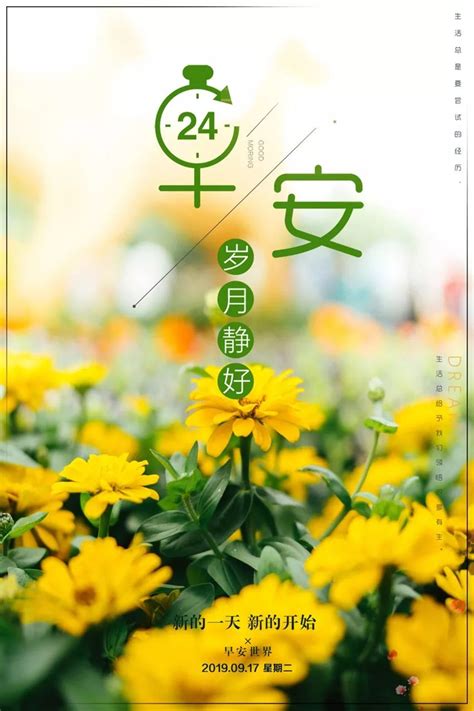 新字的书法写法_新字怎么写_新字的各种写法_书法字典_书法爱