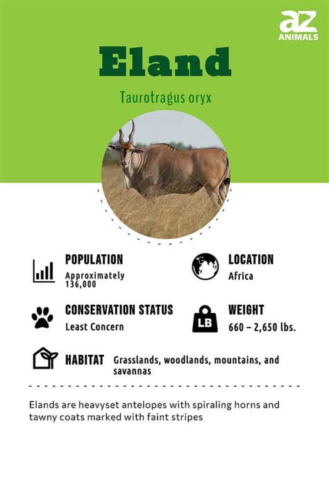 Eland Tutorial Python 的图像结果