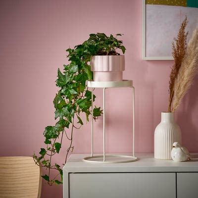 Plant Stands - Buy plant stand online at affordable price in india. - IKEA
