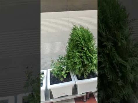 Krupex India - Manufacturer of Plastic Flower Pot & Outdoor Planter ...