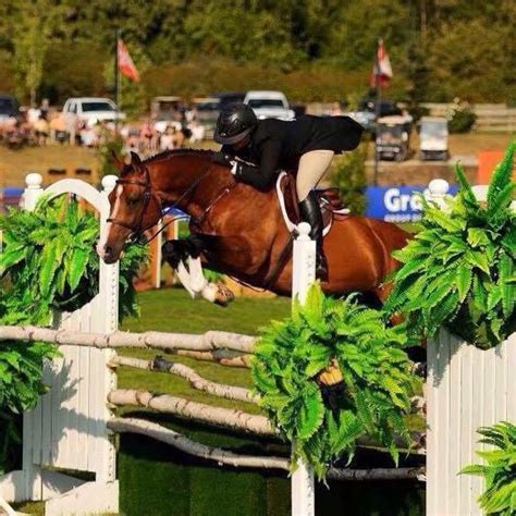 Cheryl Keith Clinic, Legacy Equestrian, Armstrong, 20 June to 22 June ...