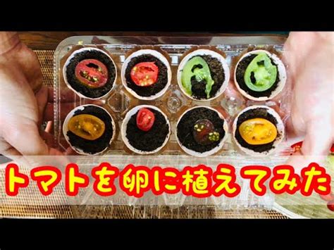 Image result for Website Homepage HTML CSS Code