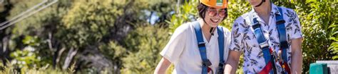 Waiheke Island Zipline and Forest Tour from Auckland - Klook India