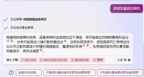 Bing Chatgpt 怎么用 的图像结果