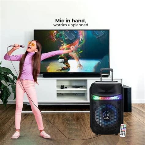 Bluetooth Trolley Speaker – 30W, Mic & 6H Battery