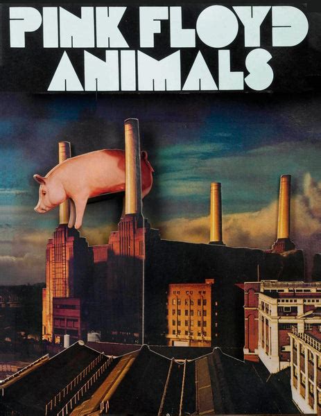 Pink Floyd - Animals - Album Release Poster - Life Size Posters by ...