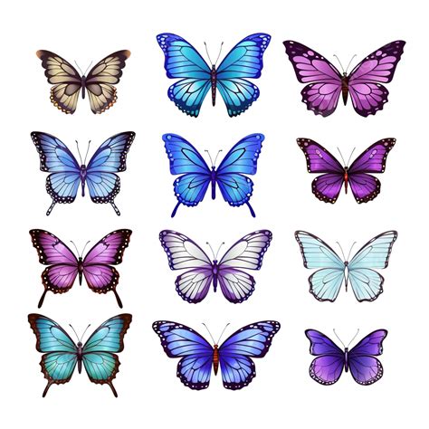 Set Of Tropical Blue Purple Colorful Butterflies For Print, Watercolor ...