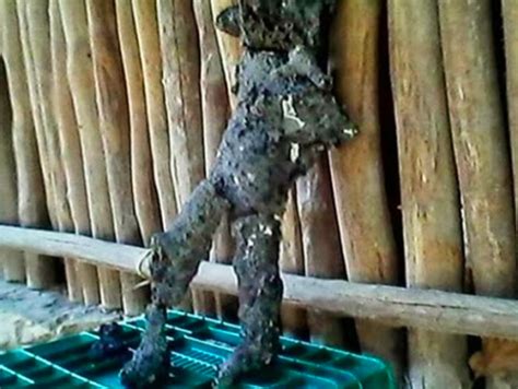 Image result for Alien Explode From Belly