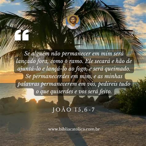 João 15,6-7 - Bíblia Católica Online