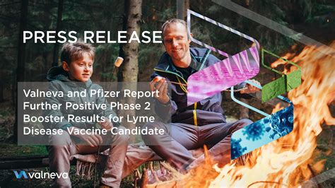 Valneva and Pfizer Report Further Positive Phase 2 Booster Results for Lyme Disease Vaccine ...