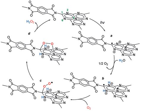 H2O2 Mechanism 的图像结果