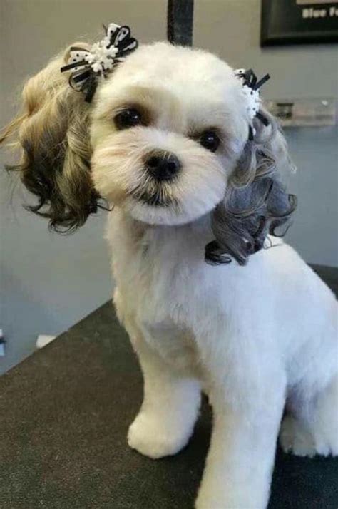 beautiful cute :)) : r/aww