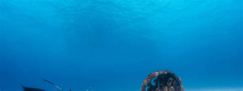 Similan Islands Tour by Check In Andaman - Klook India