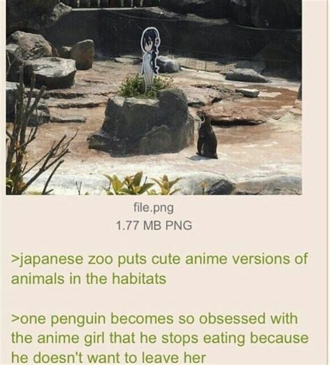 FREE OUR BOY GRAPE HE DINDU NUFFIN - Meme by Seiko4579 :) Memedroid