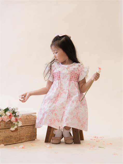 The Rosette Toile Dress – Boo and The Duck