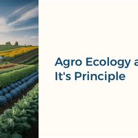 PPT Agro Ecology and It's Principle - Agriculture Optional for UPSC PDF