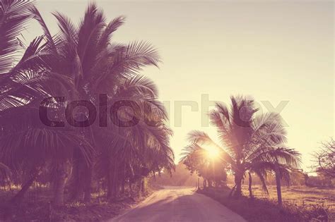 Person 的图像结果