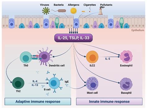 Monoclonal Antibodies Targeting Alarmins: A New Perspective for ...