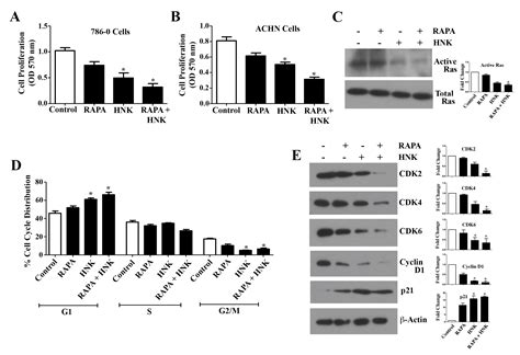 A Novel Combination Treatment with Honokiol and Rapamycin Effectively ...