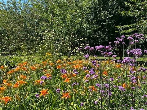 HIGHNAM COURT - All You Need to Know BEFORE You Go 2026 (with Photos ...