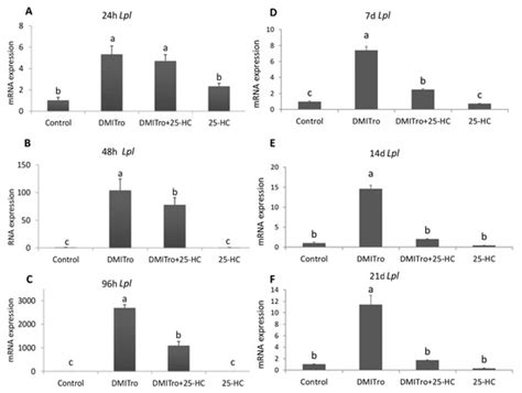 IJMS | Special Issue : Bioactive Lipids and Lipidomics 2020