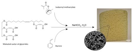 Biodegradable Polymeric Foams Based on Modified Castor Oil, Styrene ...