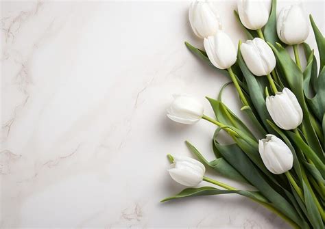 Free Spring Backgrounds 的图像结果