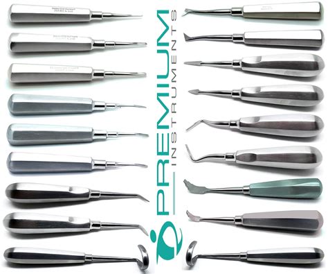 16 Pcs Dental Extraction Elevators Straight Curved India | Ubuy