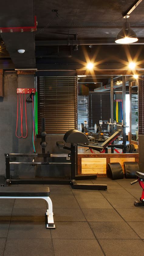 Basic Home Gym 的图像结果