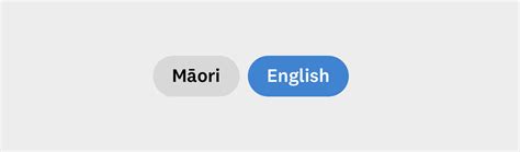 Image result for Language Toggle