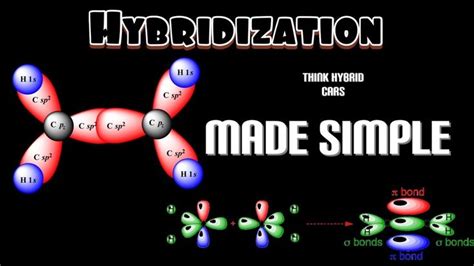 Image result for Hybridization Tutorials