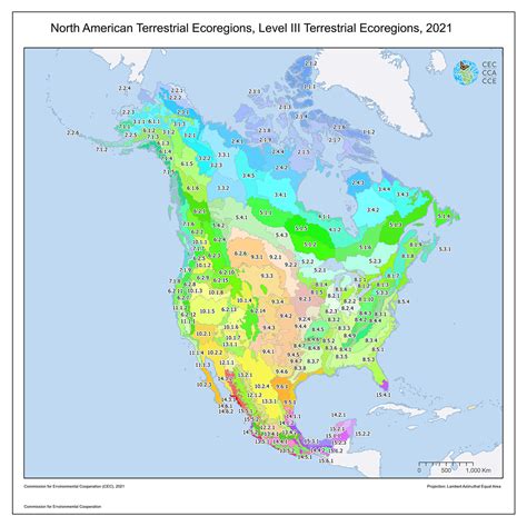 Atlas Map 的图像结果