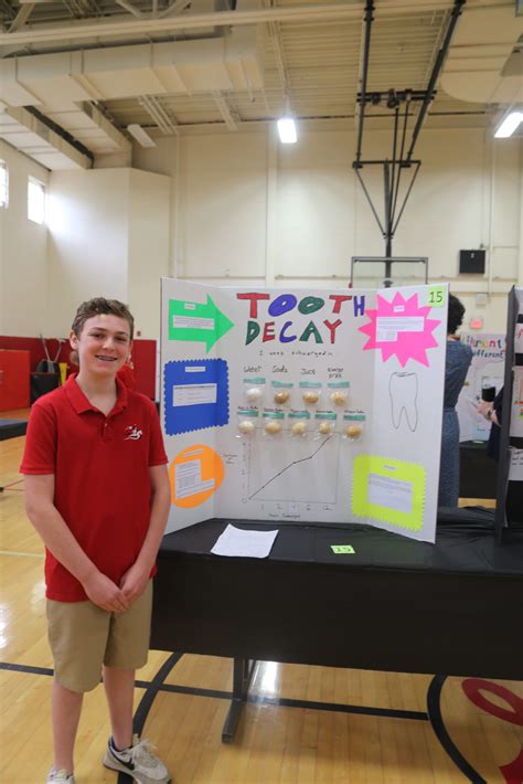 7th Grade Shines at Science Fair | Long Island Lutheran Middle & High School