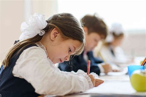 Industry Vs Inferiority Erikson