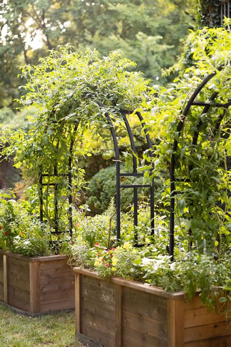 Gardenary's Nicole Arch Trellis • Gardenary