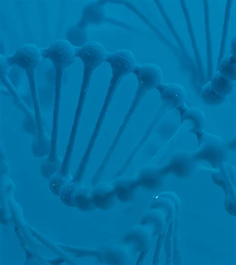 Microarray Machine 的图像结果