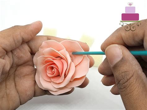 Image result for Gum Paste Rose Tutorial